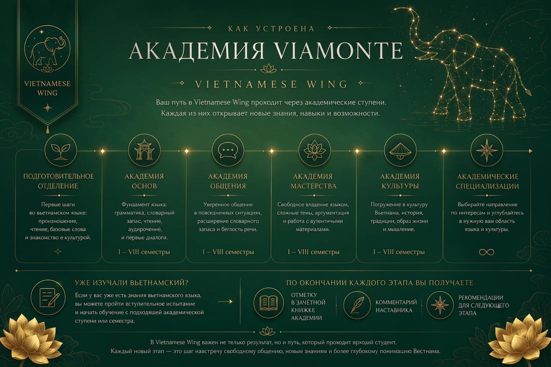 Как устроена Академия Viamonte — Vietnamese Wing: академические ступени обучения